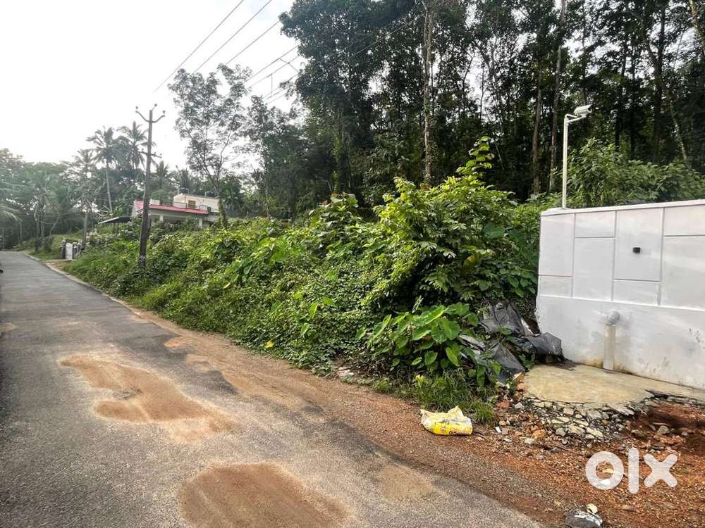 22 Cents House plot for sale in Mannamaruthy, Ranny. Per Cent Rs 3.25L