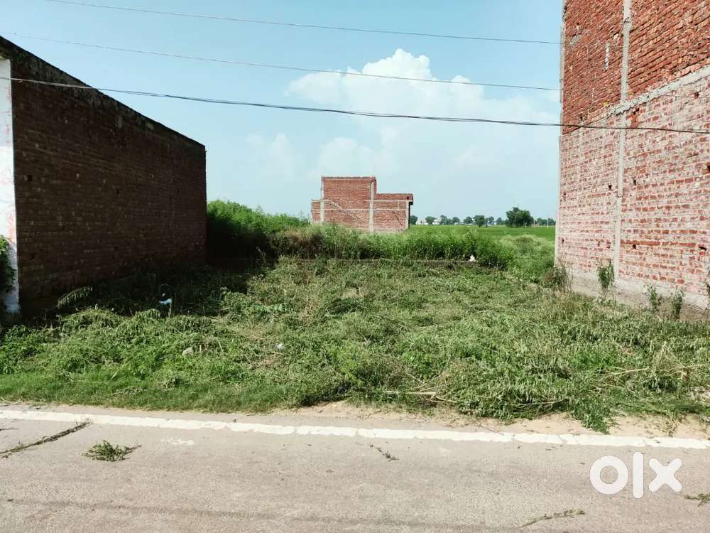 Jinder Mehlu Shop Land 11X40 Price 12 Lakh Rupes only