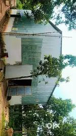 A POULTRY FEED MILL FOR RENT