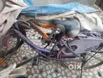 Avon Esme bicycle