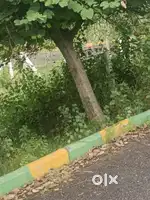 PLOT FOR SALE IN BOYAPALEM