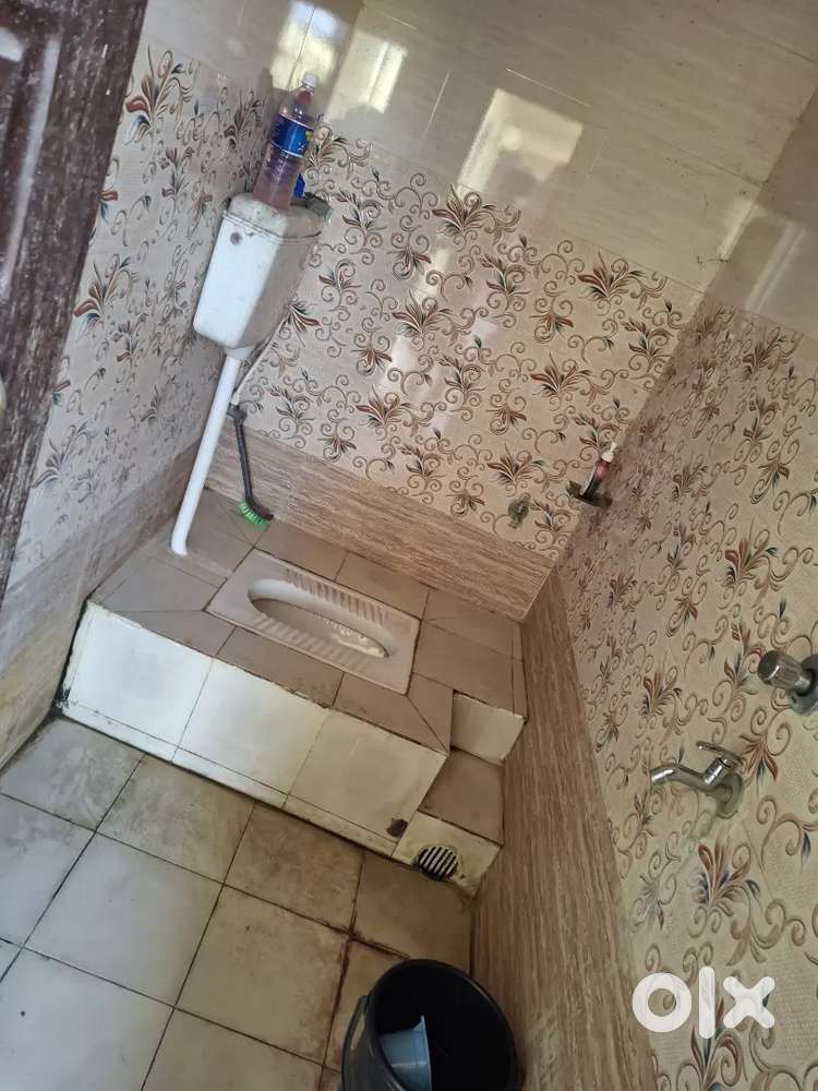 1 competitive Student (Boy)