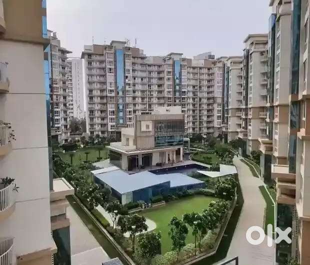 Female required for officially work with best vibes and environment