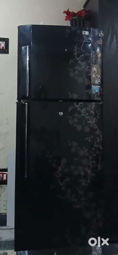 Lg double door fridge