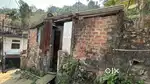 Gosala patta