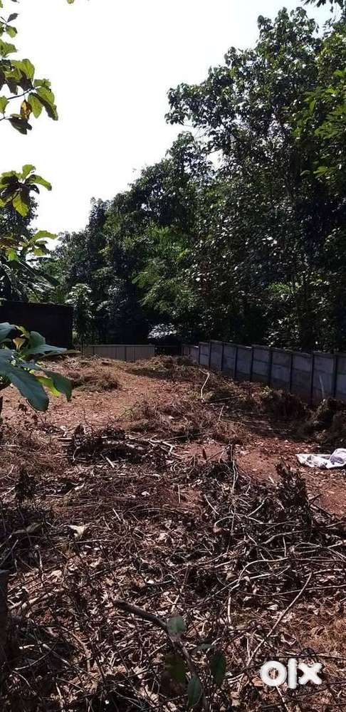 Plot for Sale in Mavelikara