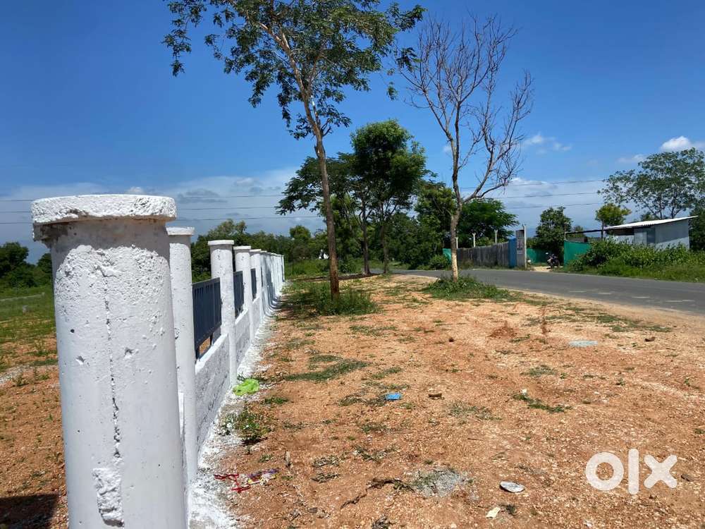 Dindigul To Natham road invesment plots