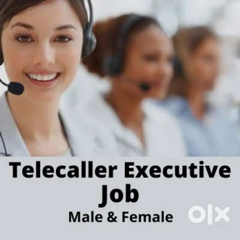 Work from home Job -Telecalling