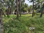 3.5 cent house plot for sale Maradu