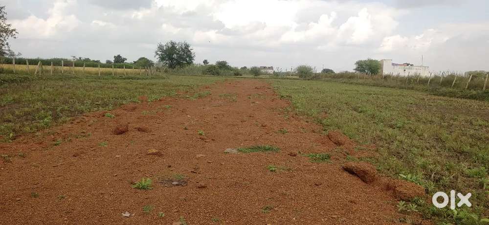 अमलेश्वर से पाहंदा बस्ती के पहले डामर रोड से 200 मीटर प्लॉट रेट=450/