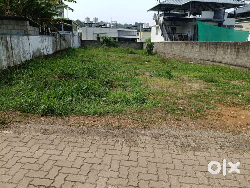 12 Cents of Land in Vembili, Pallikkara.