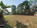 KAKKANAD CIVIL STATION 10 KM /RESIDENTIAL PLOT PALLIKKARA MORAKKALA