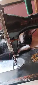 5 years old