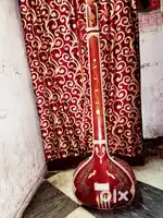 Indian Taanpura