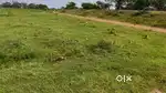 69 guntas land in chandapura to Anekal road