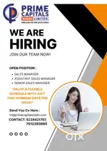Hiring for Head office team