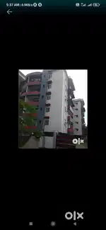 Maloali jorhat