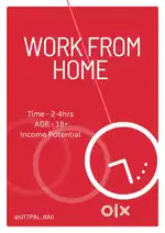 Online business (work from home)