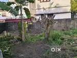 HOUSE PLOT, EDAPPALLY, THOPPIL