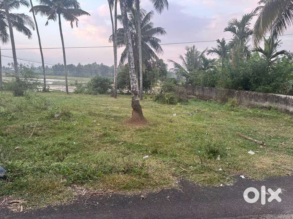 The residential plots-10 cent for sale at Olari, chettupuzha, Thrissur