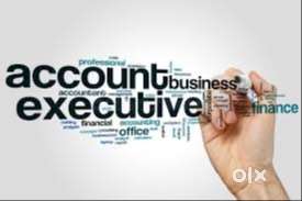 Accounts Executive