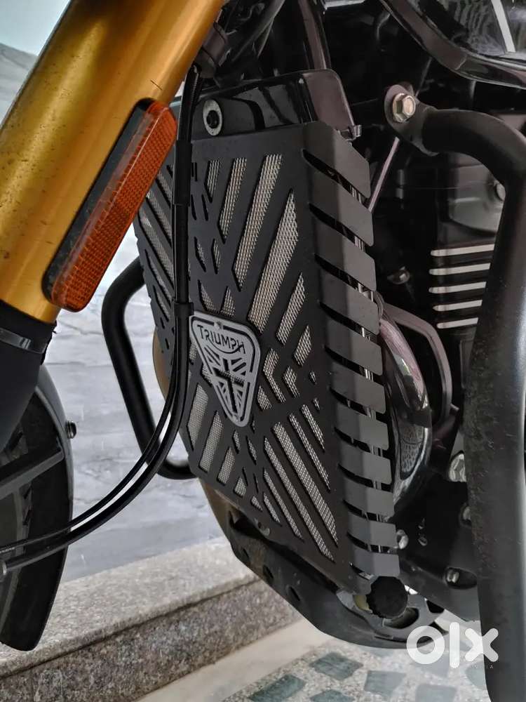 Triumph Radiator Gaurd