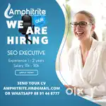SEO EXECUTIVE