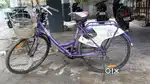 Ladybird Bicycle