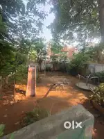 Beautiful 3BHK Builder Floor for Lease in Rajaji Nagar