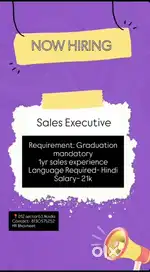 Sales executive