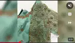 Ladies tailor shop need lady staff
