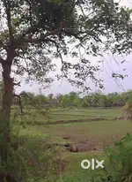 90 Acre property on road to Vadhavan port