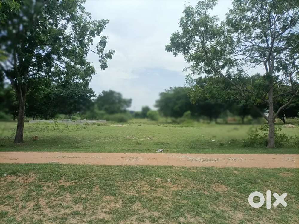 Sale of plot
