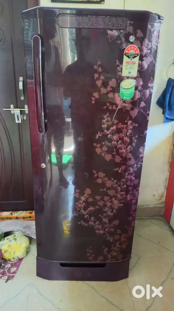 Lg 235 litres refrigerator (5 star)