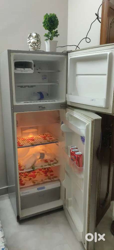 LG Good Condition Fridge