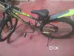 Disc cycle