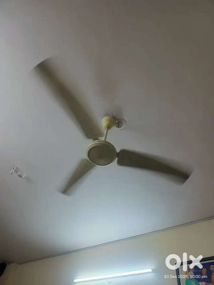 Ceiling Fan Crompton (Nos. 2) ( Quantity 2)