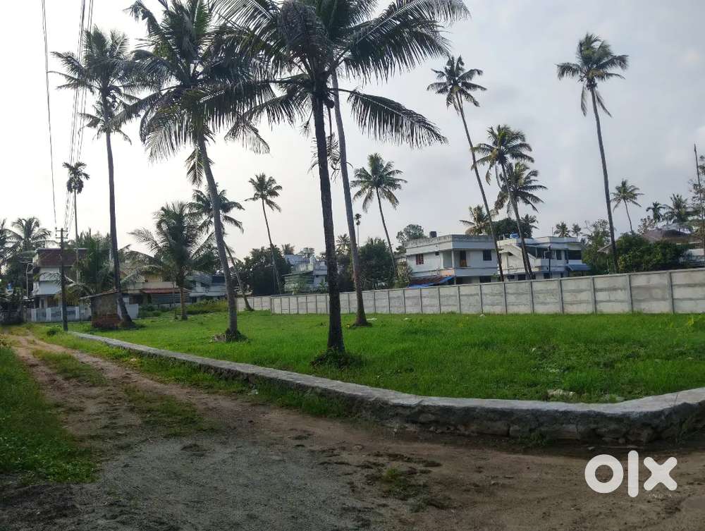 Koonammavu 150 Meter Distance 4 cent House plot