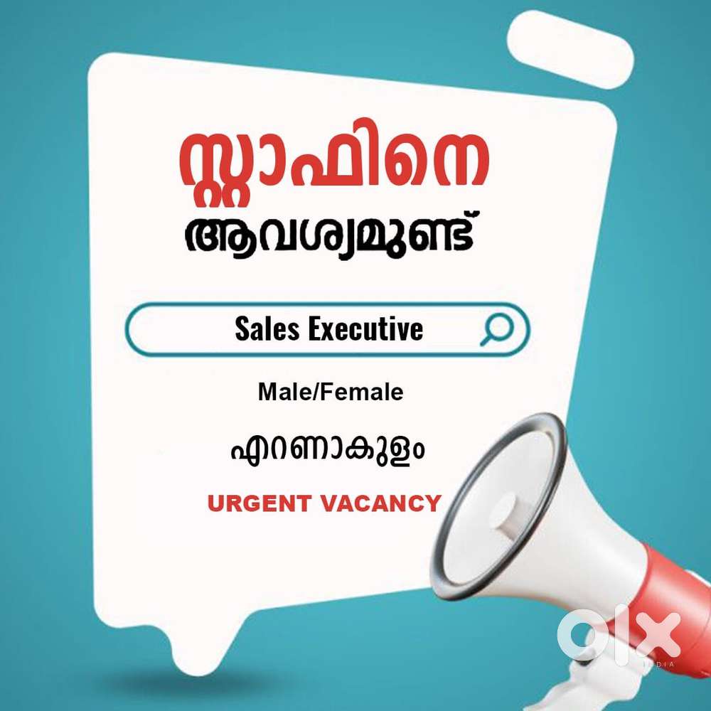 Sales Executive