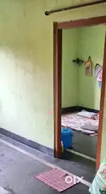 1bhk for rent