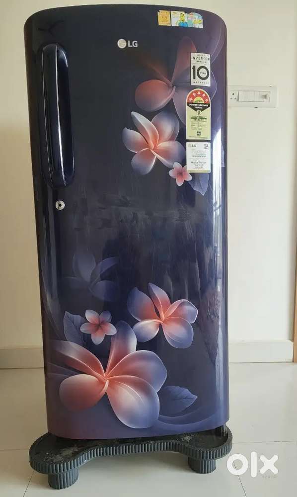 LG 190L 4 star inverter direct cool single door refrigerator