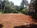 ബഡ്ജറ്റിനനുസരിച്ച് വാസ്തു അനുസൃതമായി മിക്കച്ച സൊത്ത് തിരഞ്ഞെടുക്കാം
