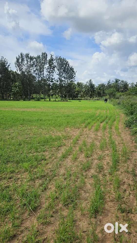 Nava Bengaluru housing society