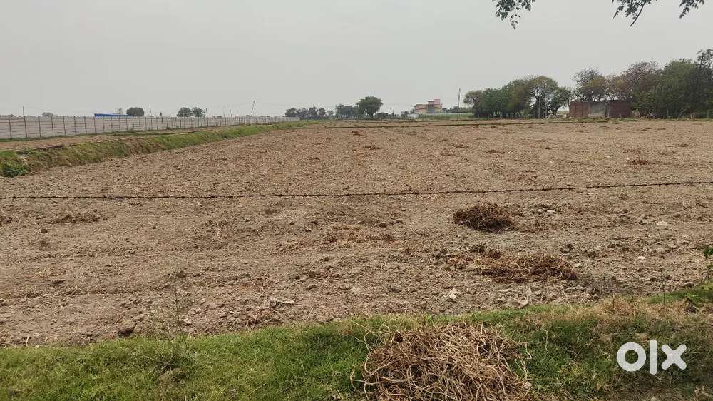 Farming jameen hai a one quality abadi ki jameen