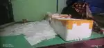 White Screen Guards Bulk Lot Approx 1000+ Pieces Mixed Old &New Models