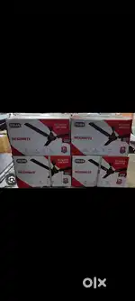 Polar ceiling fan