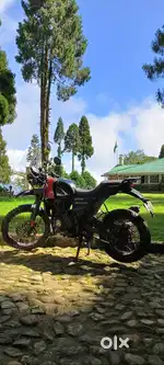 Rock red ,2021,