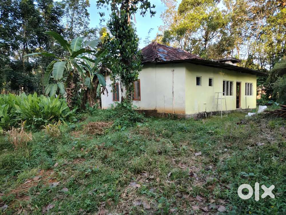 30 Cent of Land & old house near  Paimattom Rs.36 Lakhs