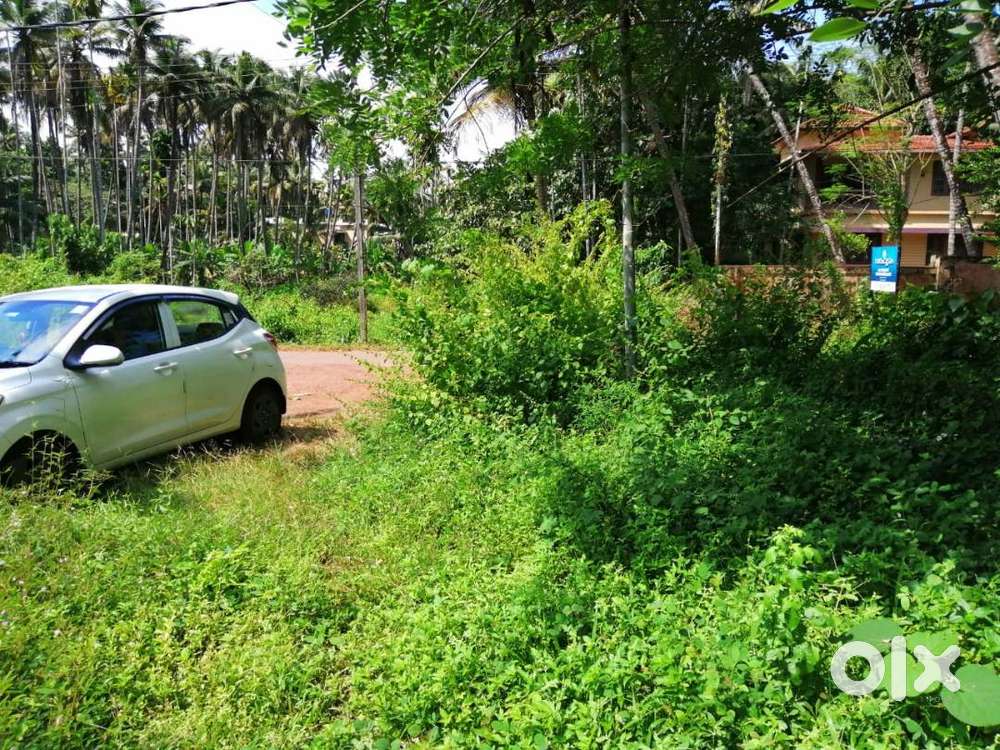 15 Cent Residential Land for Sale at Puthiyangadi, Calicut (NT)