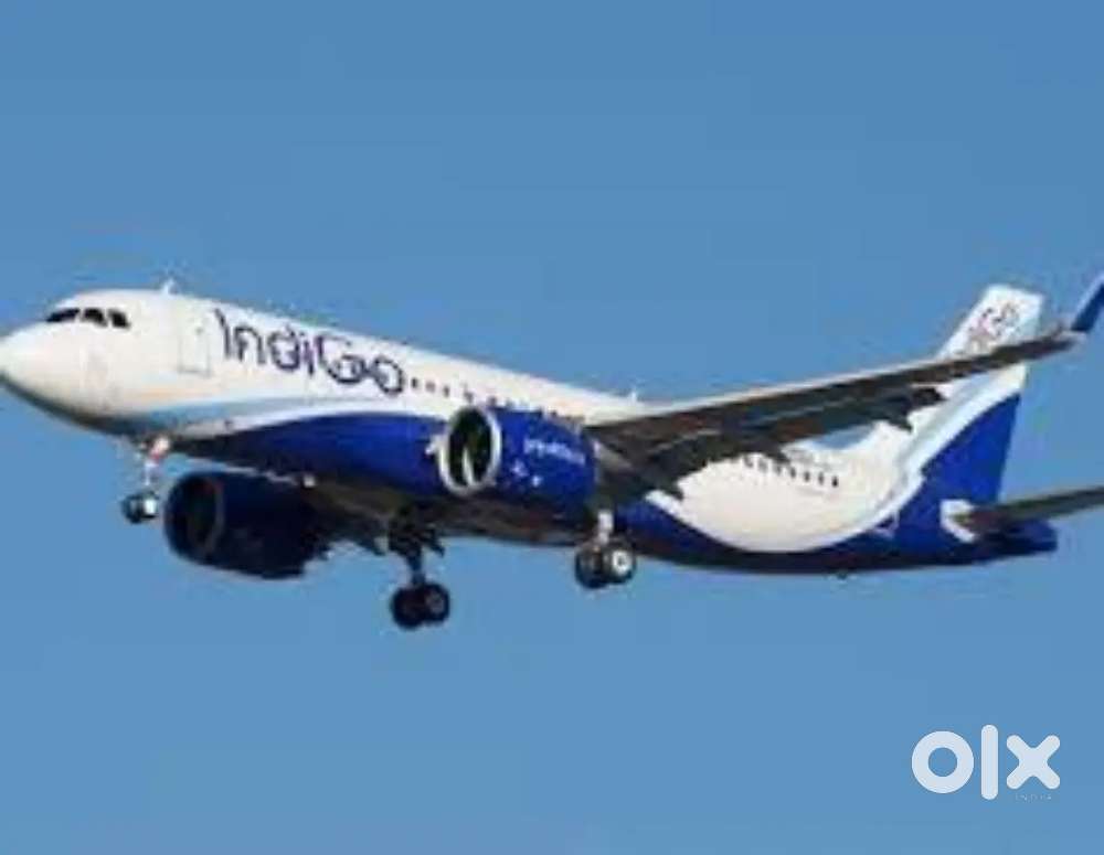 Apply Now Fresher Male, Female Both Candidate Nearest Airport Vacancy